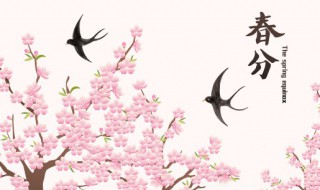 春分不能吃什么 春分可以吃什么食物