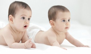 大气寅字辈好名字（寅字辈后面是什么）