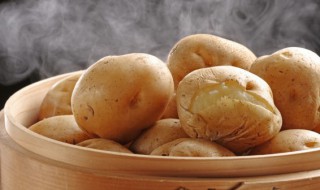 惊蛰时节的时候种什么蔬菜（惊蛰季节可以种什么蔬菜）