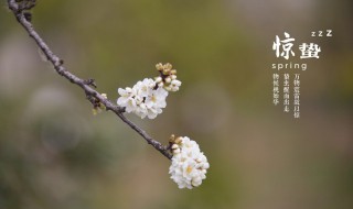 惊蛰会打雷下雨吗（惊蛰一定会打雷下雨吗）