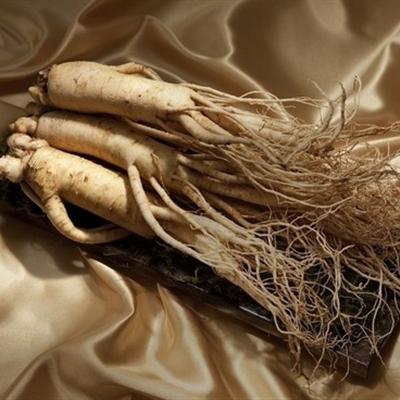 高丽参的功效与作用有哪些