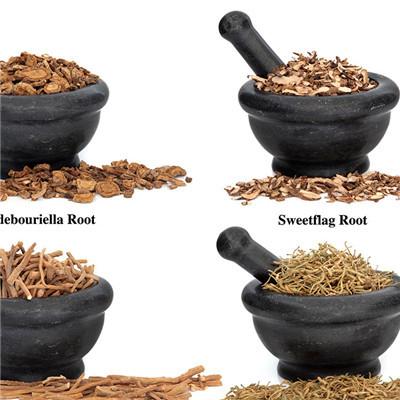 蒲公英晒干后泡水喝有什么好处吗