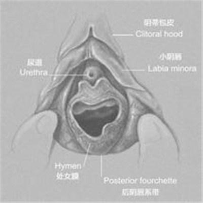 处女膜的位置大概有多深？