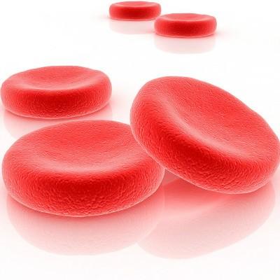 红细胞平均体积偏低的原因是什么