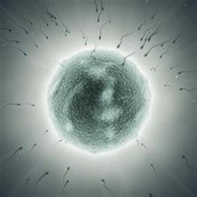 月经周期是43天下排卵期在什么时候