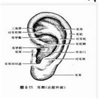 耳朵里面长了个硬包