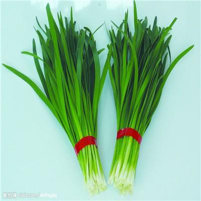 男人吃什么食物可以壮阳