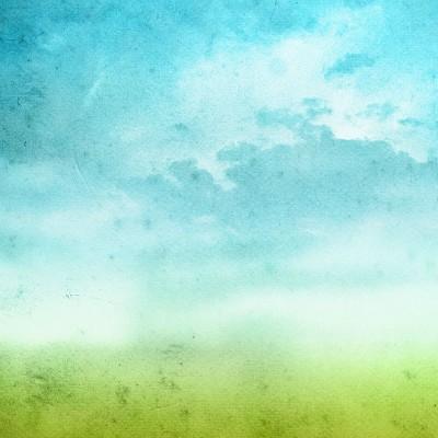 狗的爪子有病毒吗