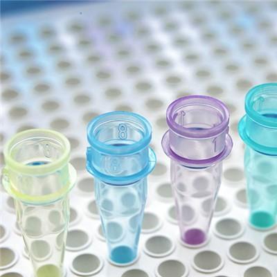 乙肝功能检查指什么