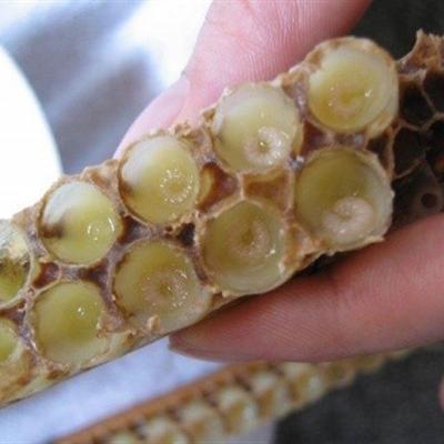 蜂王浆的副作用有什么