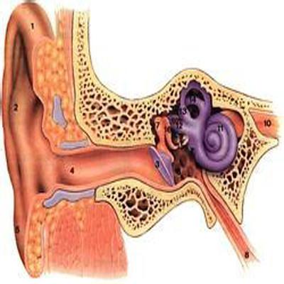 咽鼓管炎的原因有哪些