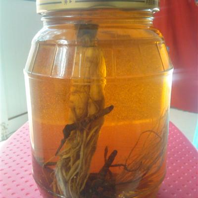 金樱子泡酒效果好吗