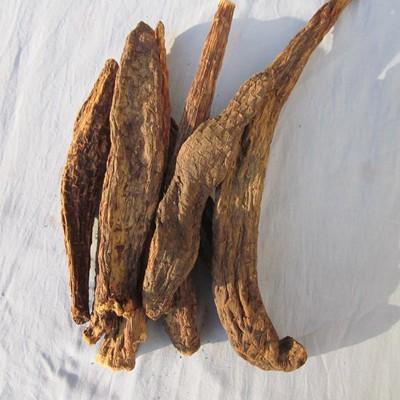 肉苁蓉有哪些副作用