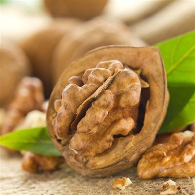 肾阴虚怎么调理