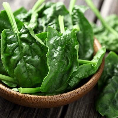 长水痘吃什么好得快