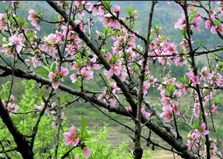 易患急性荨麻疹的四类人群