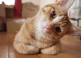 天气转冷当心落枕 8招让你颈椎更安全