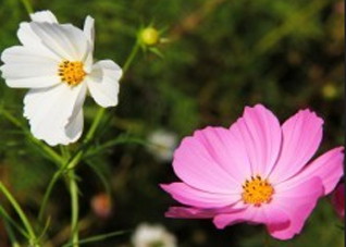 引产后感冒了怎么办？