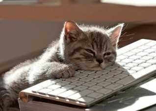 嗜睡症是怎么引起的