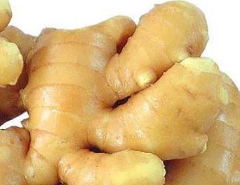 防晕车的小窍门