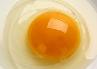 看有利于儿童智力发育的五种食物