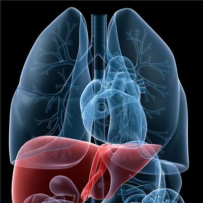 乙肝大三阳的治疗方法有哪些