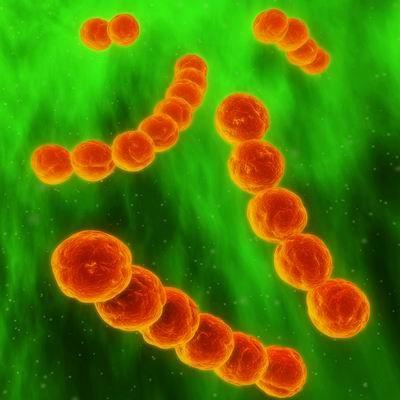 猩红热的传染源主要有什么