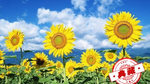 春天吃什么可以去火