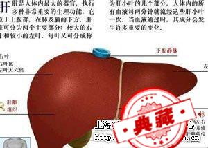 乙肝能治好吗？乙肝大三阳能治愈吗乙肝能活多久