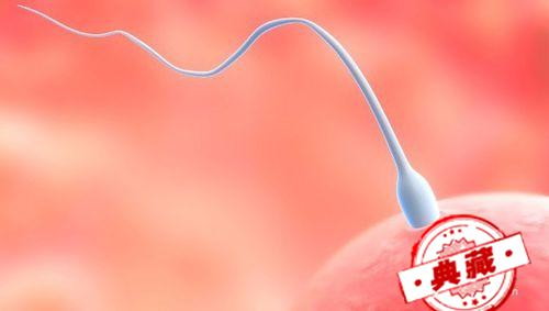 如何提高精子活力？提高精子活力的食物