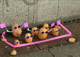 秋冬季节养生食物