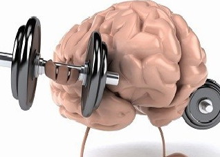 给大家推介几款补脑菜谱