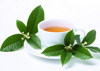 高血压适合喝那些茶