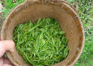 如何喝茶能喝出苗条身材？