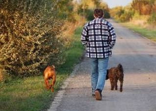 男人饭后不宜做的事有哪些