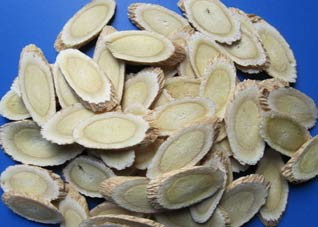  黄芪有利于控制血糖