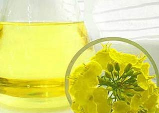 芥花油非常适合2型糖尿病