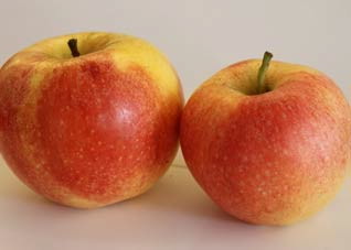 办公室常备这几种食物，营养又健康