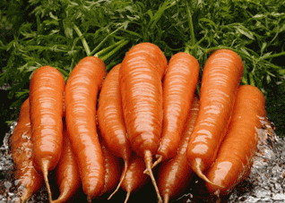 胡萝卜煮熟后吃好处加倍