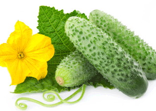 晚上多吃三大蔬菜有助减肥