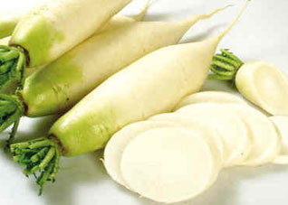 哪些蔬菜会有补铁的效果