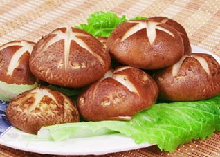 为你推荐几款能补气的食物