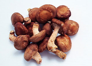 蘑菇能预防肿瘤 适合秋季进补