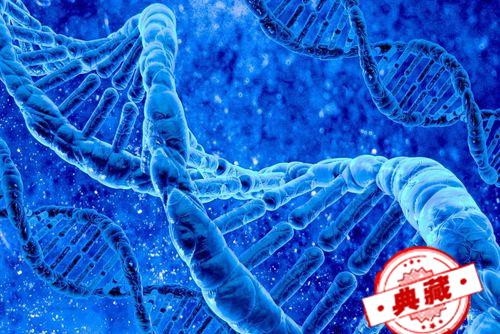 艾滋病初期怎么治疗 艾滋病初期治疗方法