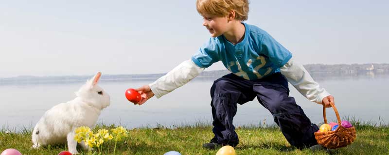 小白兔的描写30字	 小白兔描述30个字