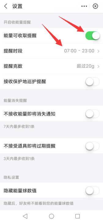 支付宝怎么开通收能量提醒