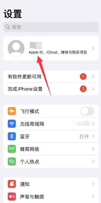 怎么查看自己的iPhoneid密码是多少