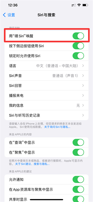 iPhone手机喊siri为什么没反应