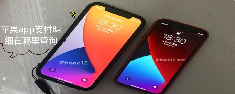 iPhoneapp支付明细在哪里查询