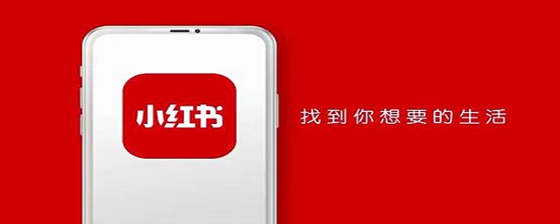 iPhone手机小红书怎么复制文字